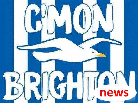 Cách thức của Brighton ở Premier League là gì? Tại sao có hàng hóa tàn nhẫn vô tận? Netizen: Ông chủ không đơn giản